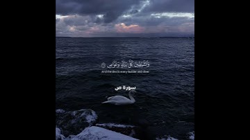 اكتب شي تؤجر عليه🌊القارئ#ياسر_الدوسري #سورة_ص #القرآن_الكريم #تلاوة_هادئة #قرآن #quran