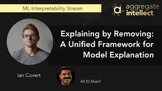 Explaining by Removing: A Unified Framework for Model Explanation | AISC
