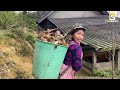 Cuộc Sống của Người Mông Và Người Hoa Ở Thung Lũng Biệt Lập Thượng Lâm | Phuc Bang