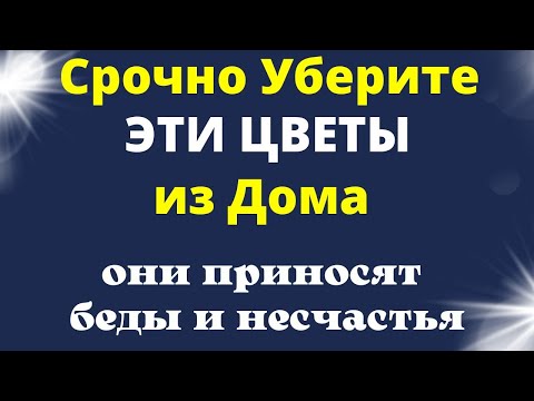 НАВСЕГДА УБЕРИТЕ эти ЦВЕТЫ из Дома - они приносят беды и несчастья.