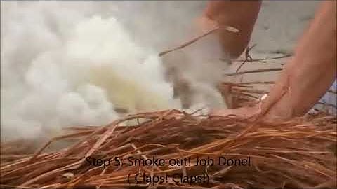 Fire starting Chi master and Energy harness technique | Pyrokinesis Fire Qigong