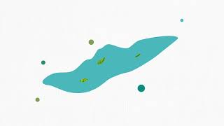 Water 101: Lake Erie
