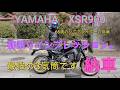 YAMAHA　XSR900　2026年、納車インプレッション。最強の3気筒ですね。NEXTライダーモトブログ