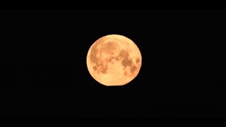 Полнолуние (The Full Moon)