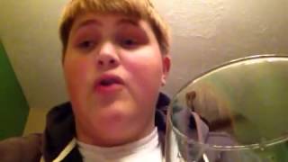 Bluespecs Beer Reviews Bud Light Cran-Brrr-Rita