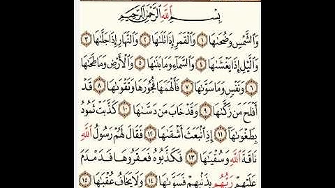 القارئ ياسر الفيلكاوي _ سورة الشمس(٩١)