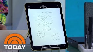 What kind of plant is that? Use this app to find out! screenshot 2