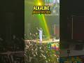 Alkaline at Reggae Fest Pt 1 #reggaefest2025 #dancehall