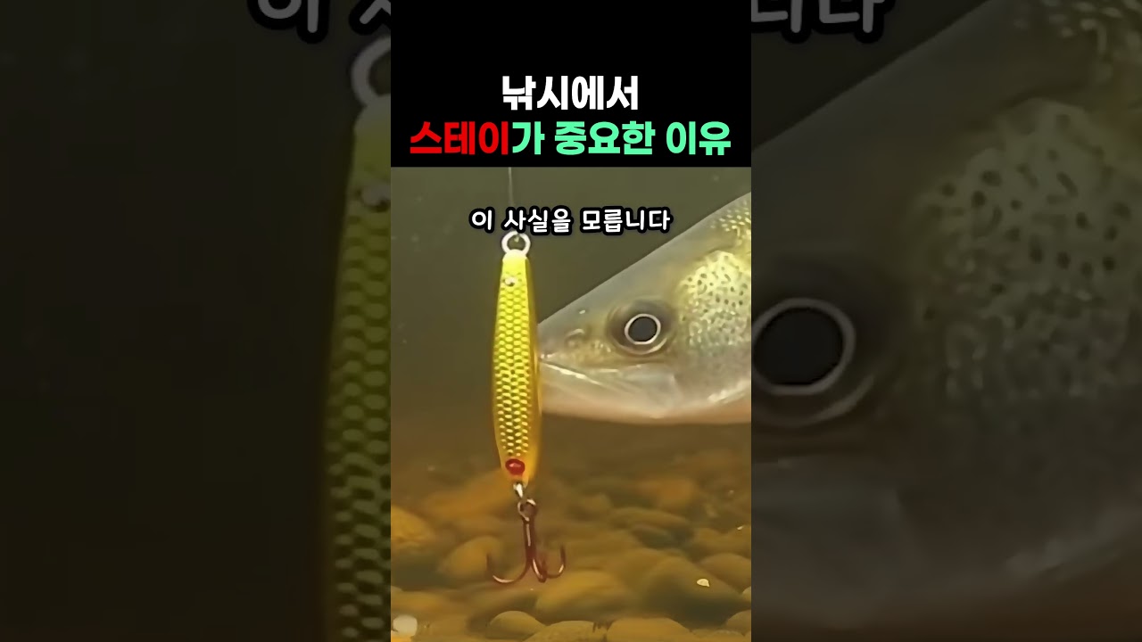 당신의 지그헤드를 먹지 않는 이유 #낚시 #fishing