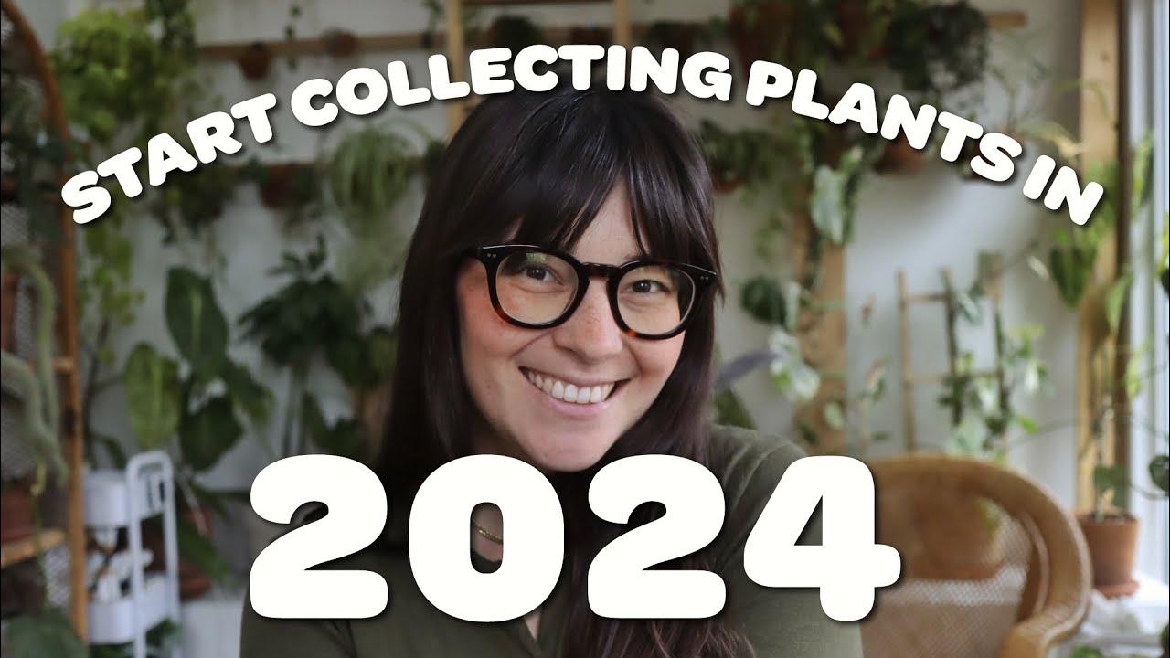 4 Reasons to Collect Houseplants in 2024 ✨