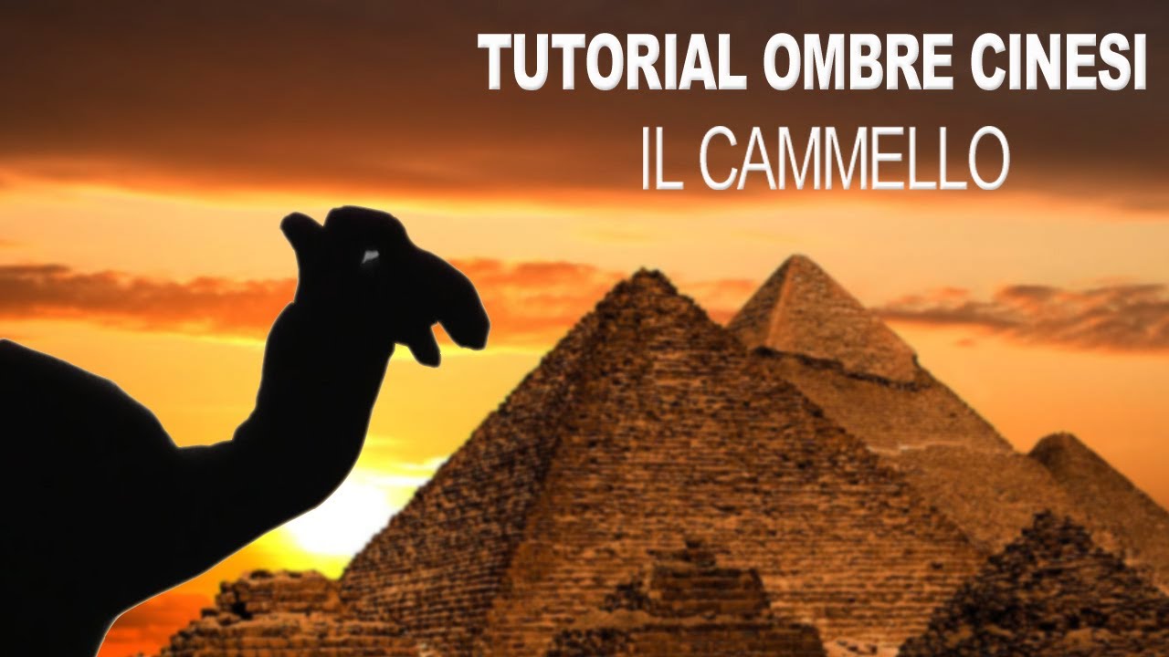 ombre cinesi facili con una mano