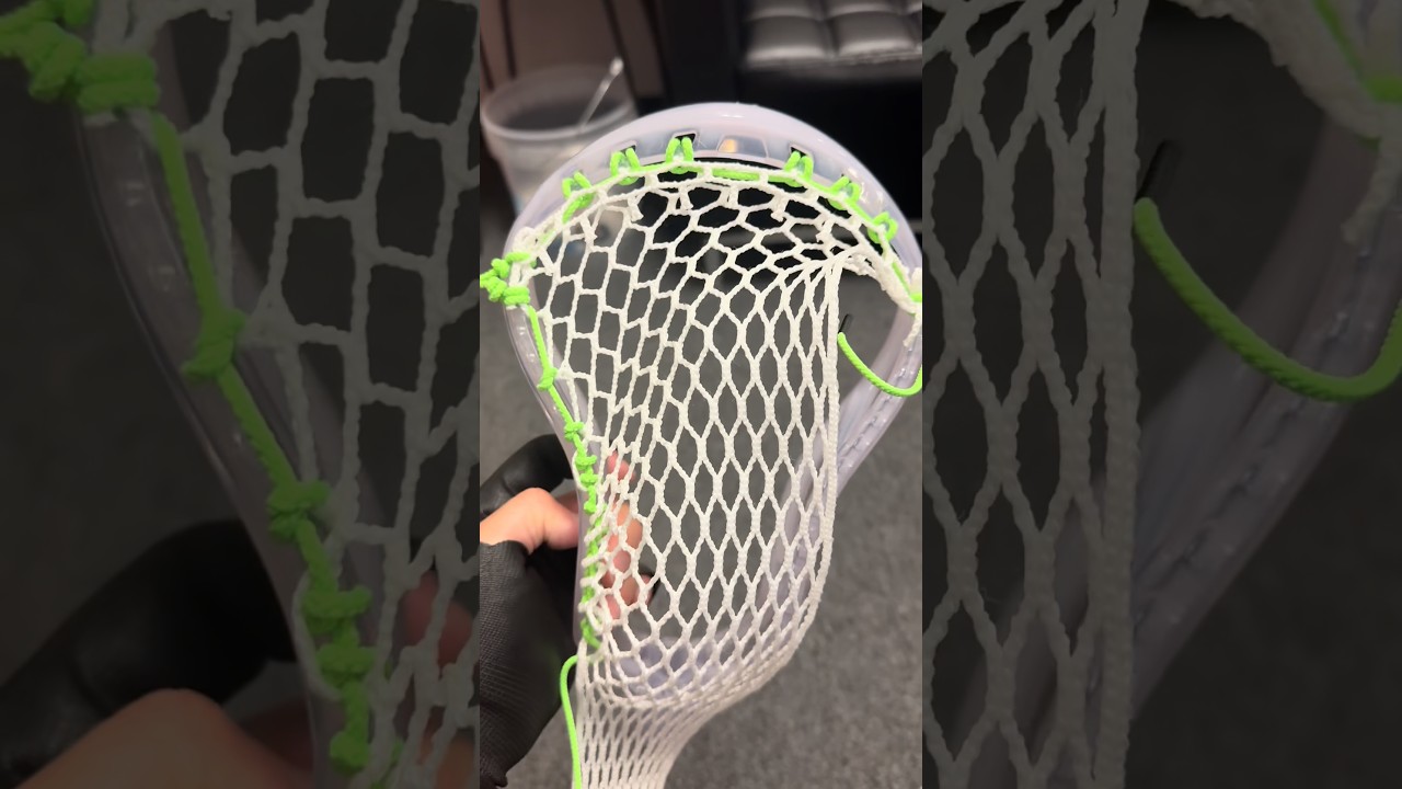 The LI Lizards are back 🦎