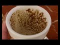 Pisces The Comeback You Didn’t See Coming Coffee Cup Reading