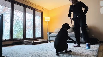 10 part chain video: 4 behavior random order