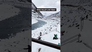 sissu | sissu today | sissu snowfall today | sissu current situation | manali today | manali #sissu