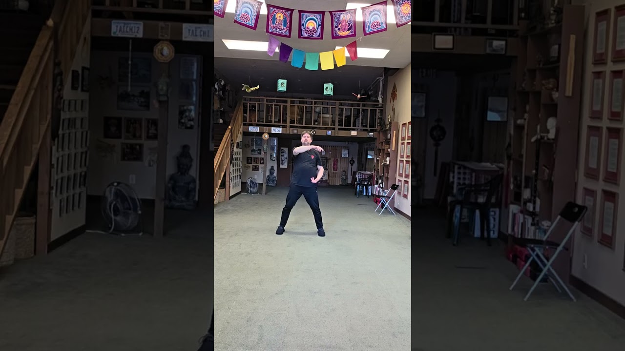 Instr./student Matt doing the Li Jia Ming Chia Tao/Bright Beautiful School of Thought chi kung Set.