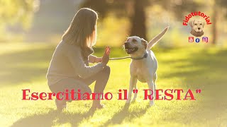 Impariamo il resta. by Fidotutorial 39 views 1 year ago 4 minutes, 29 seconds