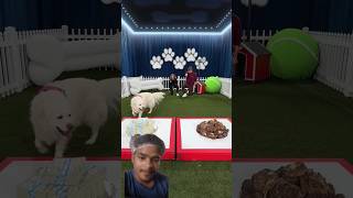 😱Mrbeast subscribe me #viral #mrbeast ka video