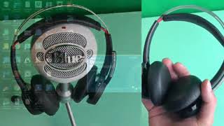 Dragon Professional Individual 15 0 PC Download Review, 2 Best Mic's for the Best Program for the be