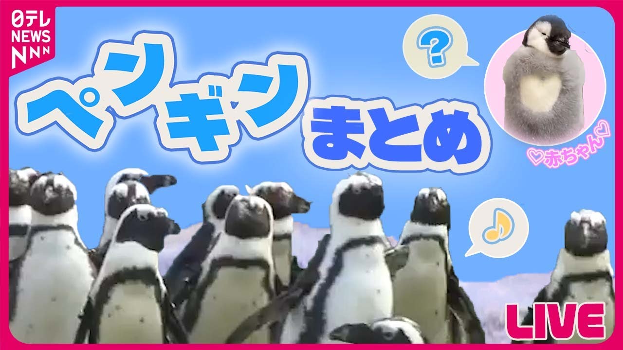 アカウント 販売安い nnn様 リクエスト 2点 まとめ商品 【公式通販】