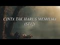 ST12 - Cinta Tak Harus Memiliki (LIRIK)