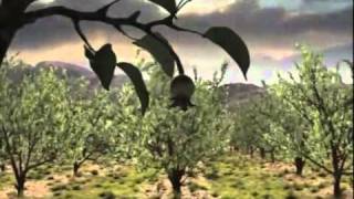 Ceres Fruit Juice Advert   The Perfect Apple