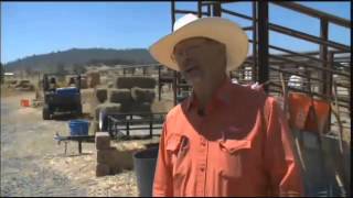 Shelter Humane Society Taking In Animal Evacuees From Rim Fire Aug 29 2013