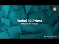 The Shades of Redmi 10 Prime