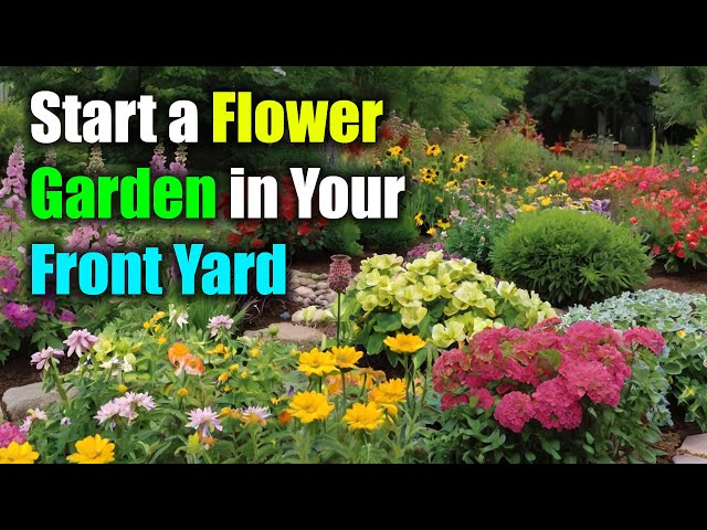 How To Start a Flower Garden 