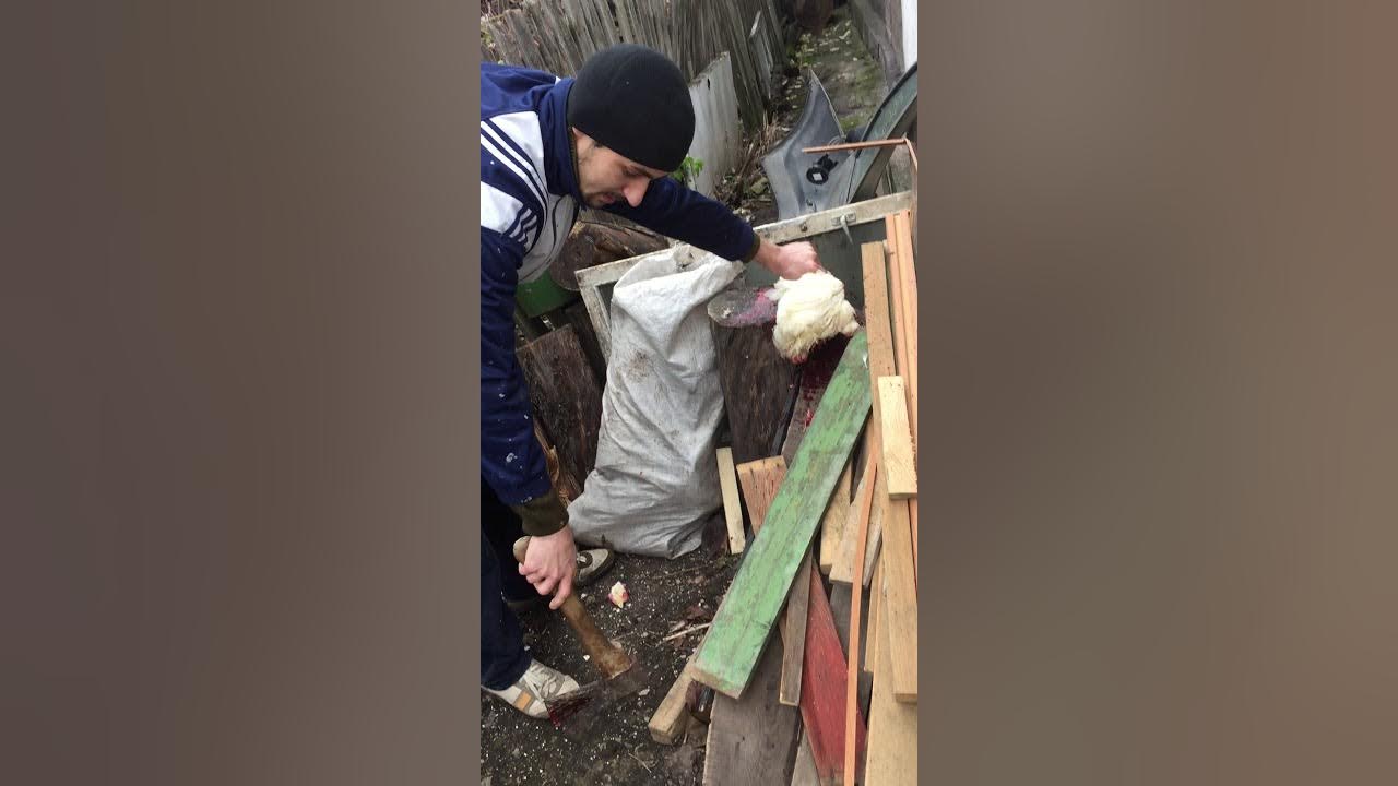 Как рубить кур. Как рубить кур. Как рубить кур. Как рубить кур. Как рубить кур.