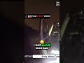 Police Officer Questions Driver Having a Panic Attack After Accident