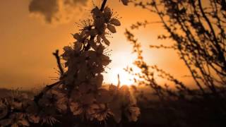 Nujabes- Highs To Lows (Uyama Hiroto Remix Instrumental) [Extended]