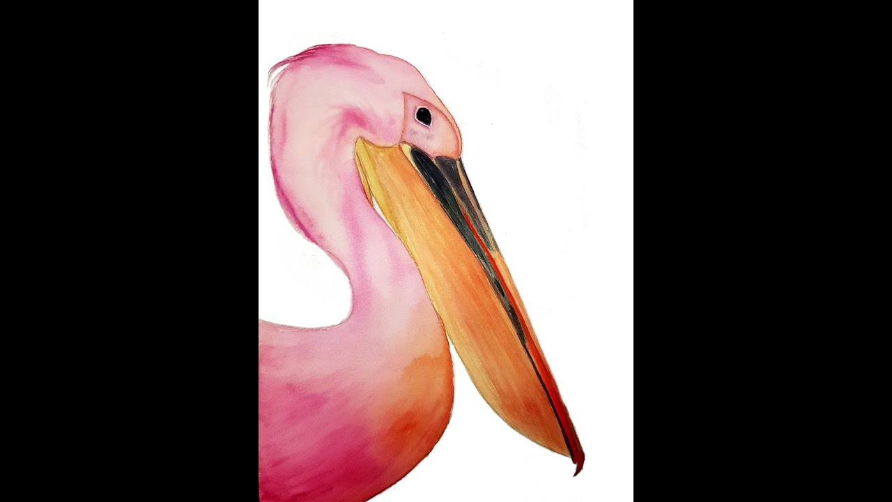How to Paint Pelican step by step Easy Watercolor Painting for