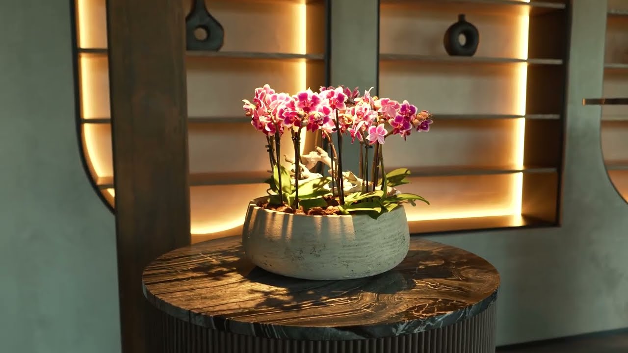 Discover Esperanza – Luxury Lake Resort & SPA