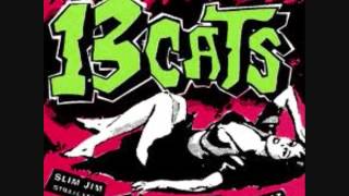 13 Cats - Flesh for Andy Warhol