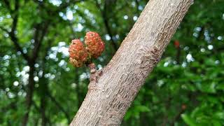 Təbiət Haqqında Nokment Əbiətsevənlər Əbiətfotoları Əbiətmənzərələri Əbiətingözəlliyi