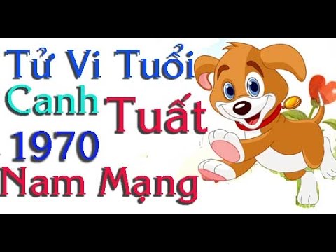 Xem tử vi năm 2019 cho tuổi Canh Tuất sinh năm 1970 nam mạng – VNLife