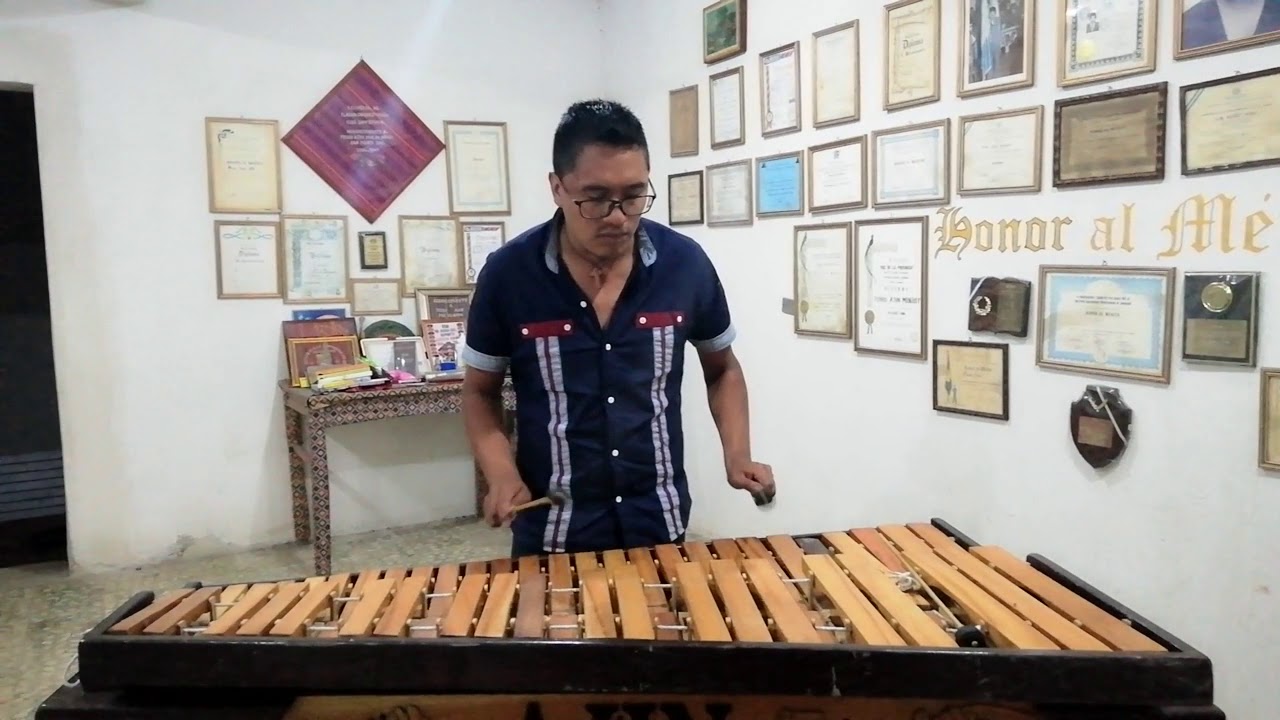 dancemonkey cover marimba Dance monkey (Cover en Marimba) YouTube