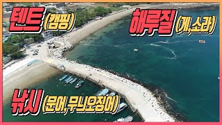 낚시와 해루질, 캠핑이 한곳에서 가능한 남해포인트 소개 [Korea's Camping and Fishing Style Video]