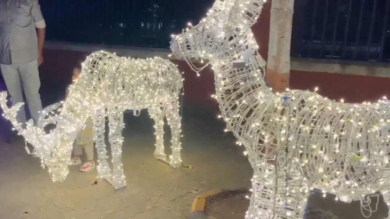 VADODARA DIWALI DECORATION 2025 💥#lighting #vadodaradiaries #vadodara #diwalispecial 