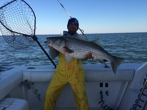 How to Catch Large Striped Bass Using Mojo Lures, Part 1