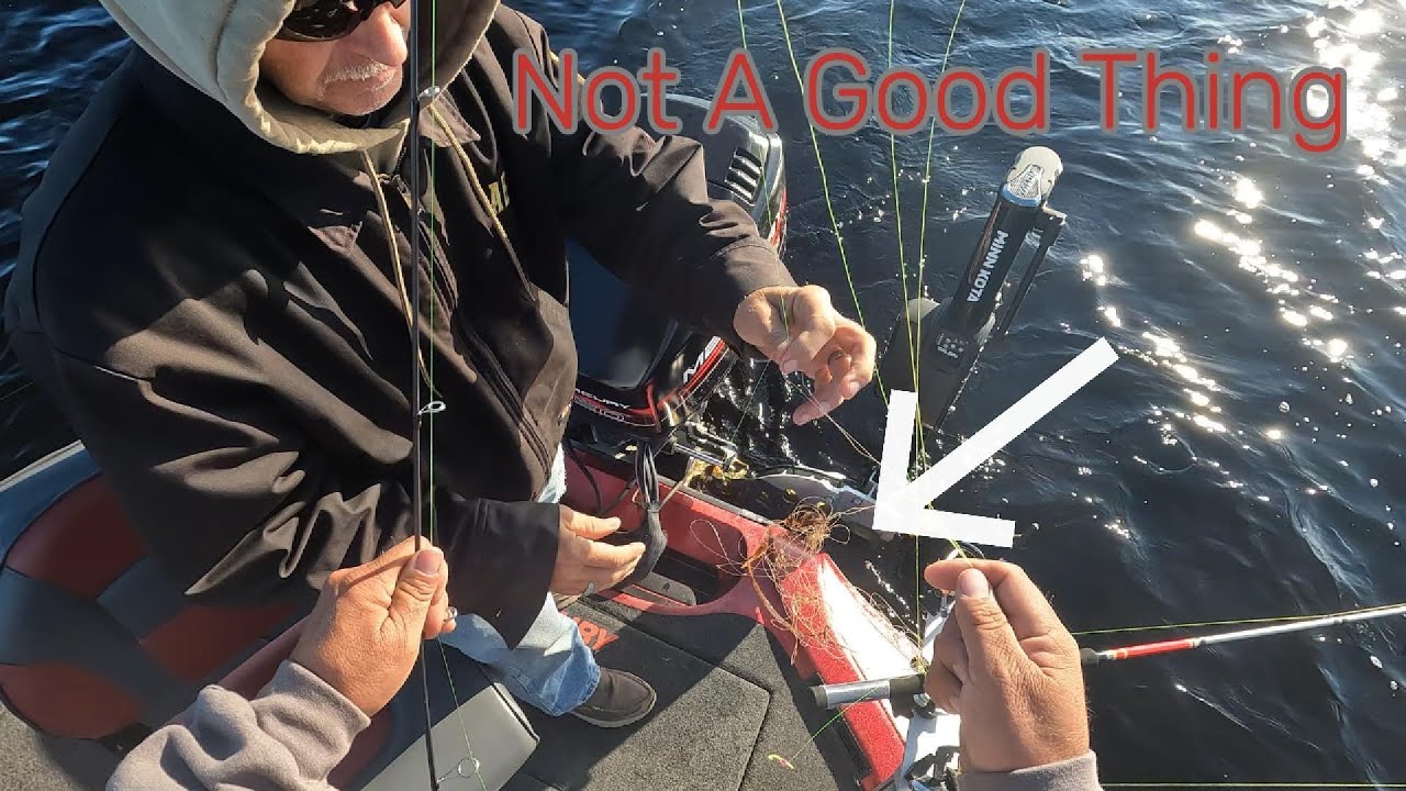 Потеря снастей и запутывание лески — значит, вы не «ловите рыбу». Ловля окуня на озере Монро.