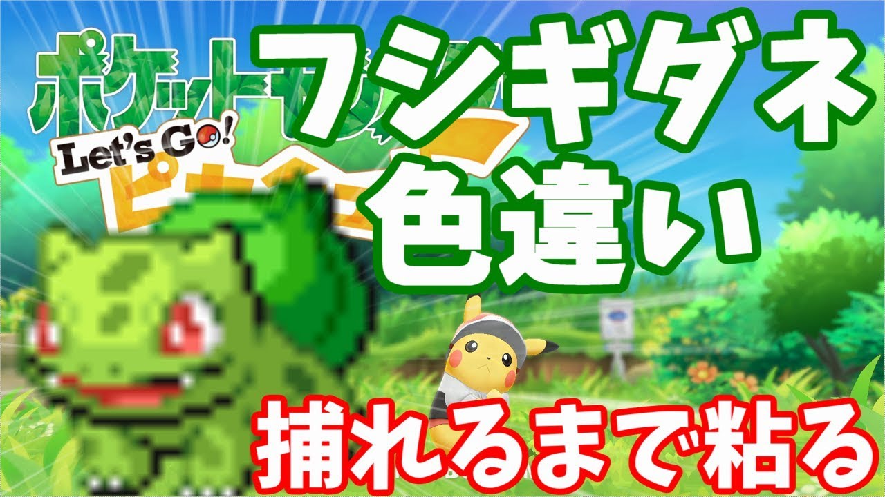 ピカブイ フシギダネの色違いを捕まえるまで寝れない枠 図鑑未完成 Youtube