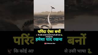 परिंदा बनों🦅#motivationalvideo💯 #motivation #hardwork #ytshorts #inspiration #viral