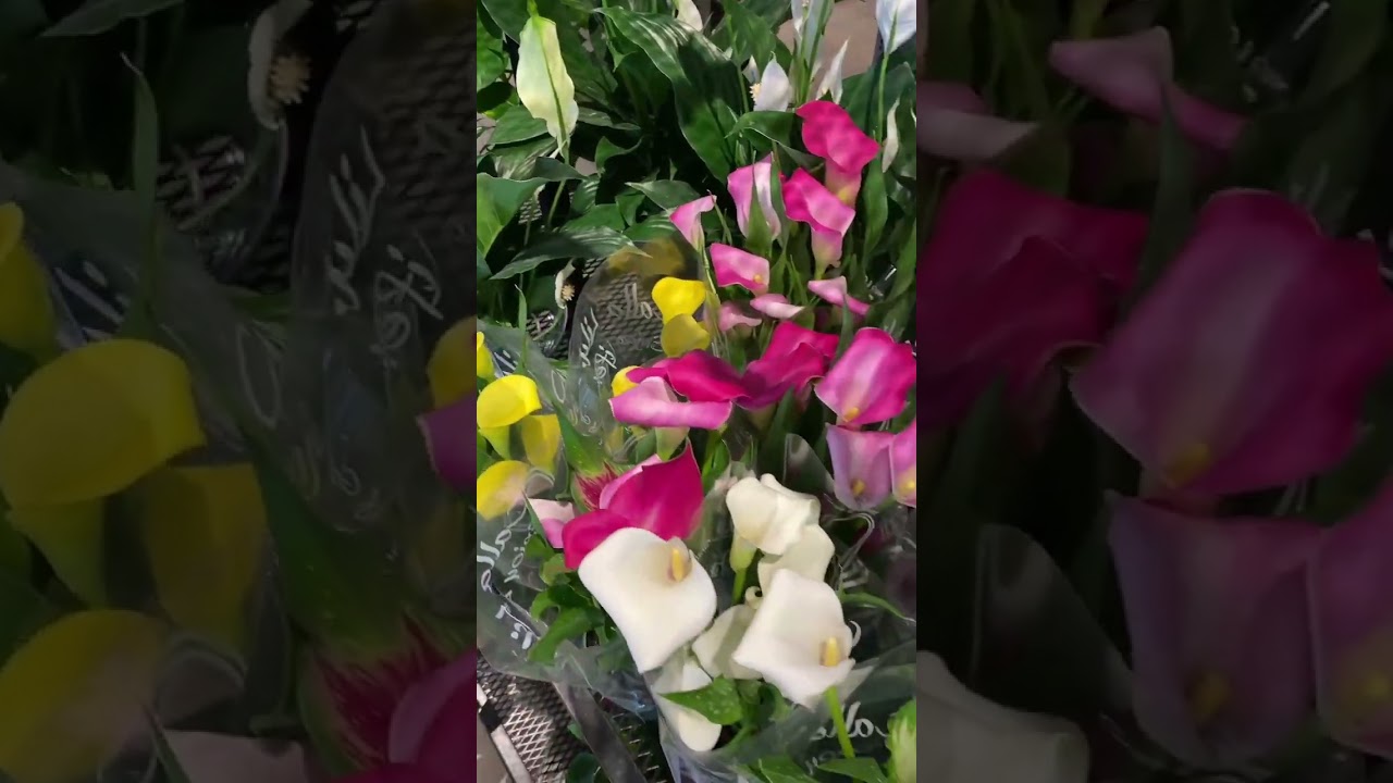 Florist Boca Raton Flower Delivery