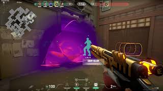 Valorant - Chamber ULT Ace on Split