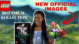 More Lego Plants?! New Lego Succulents & Orchids OFFICIAL IMAGES! | Lego News 2022 (10309, 10311)