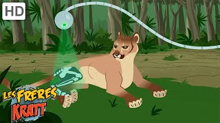 Le meilleur de la saison 3 [épisodes complets] Les Frères Kratt