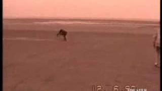 Funny Video (That's Life)