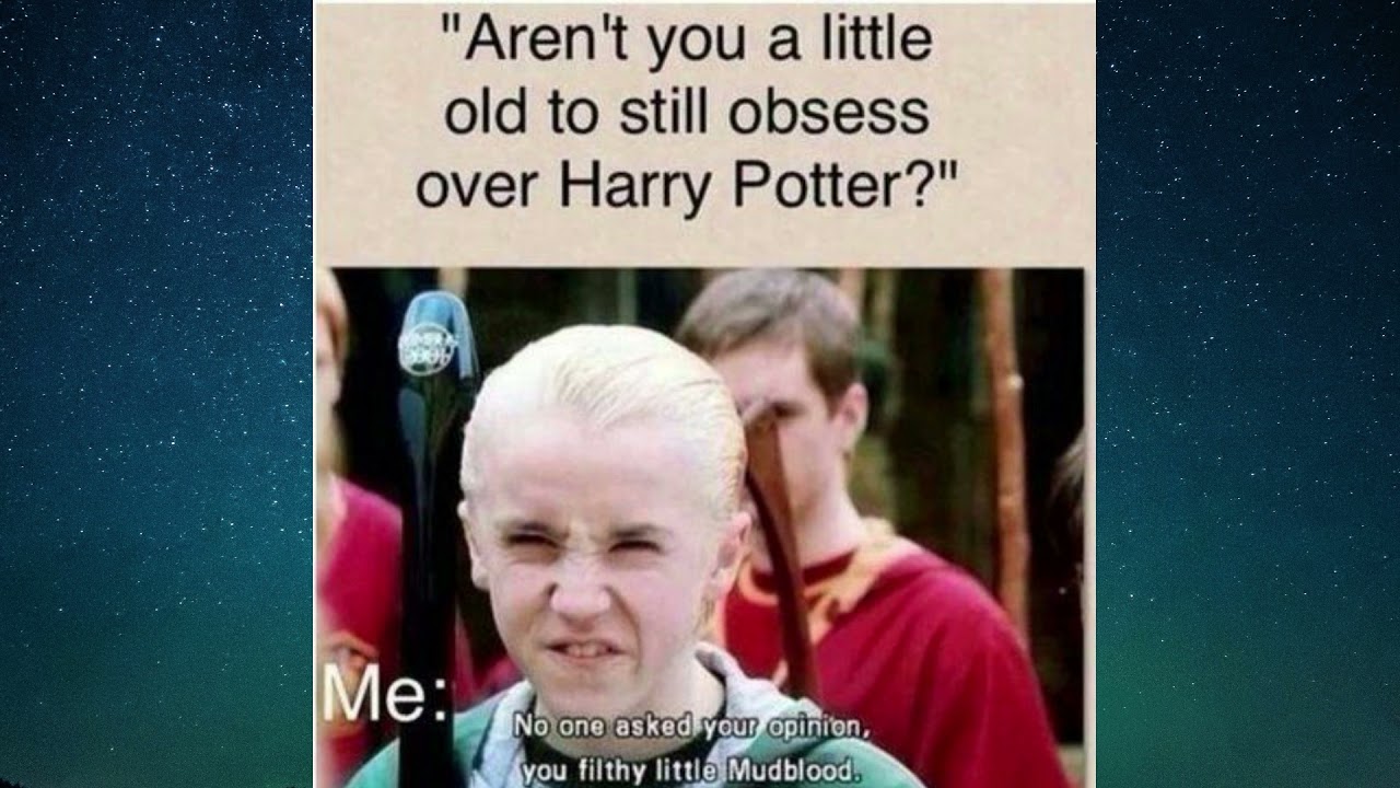 20 Harry Potter & Draco Malfoy Funny Memes